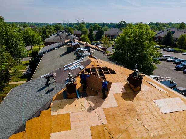 Roof Gutter Cleaning in Shenandoah Farms, VA