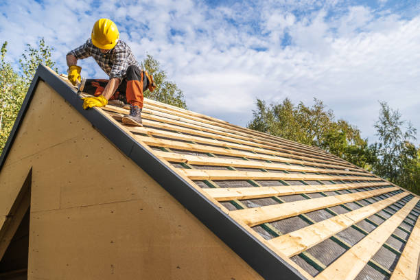 Best Gutter Installation and Roofing  in Shenandoah Farms, VA