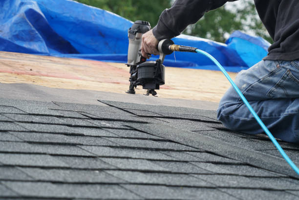 Best Roof Maintenance Services  in Shenandoah Farms, VA