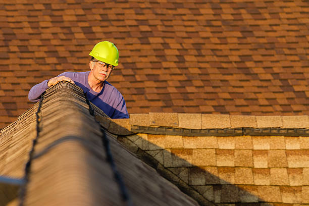 Best Roof Inspection Near Me  in Shenandoah Farms, VA