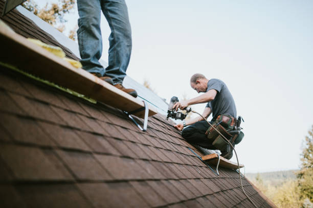 Best Roof Leak Repair  in Shenandoah Farms, VA